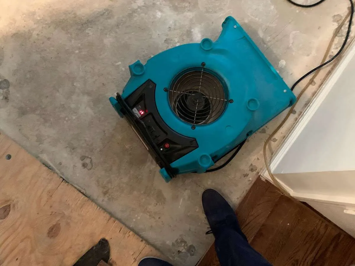 Air mover drying subfloor during Leak Detection & Repair in Hillsboro